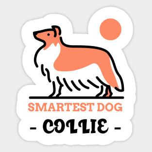 Smartest Dog - COLLIE Sticker